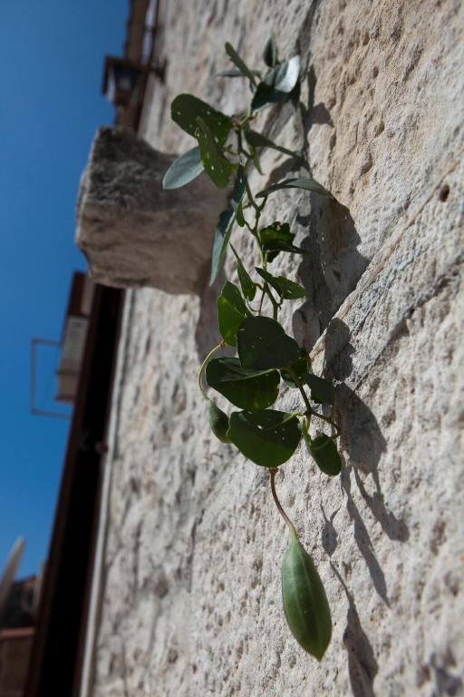 Villa Donna Trogir Dış mekan fotoğraf